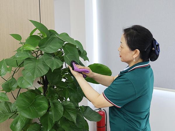 你真的了解保潔嗎？